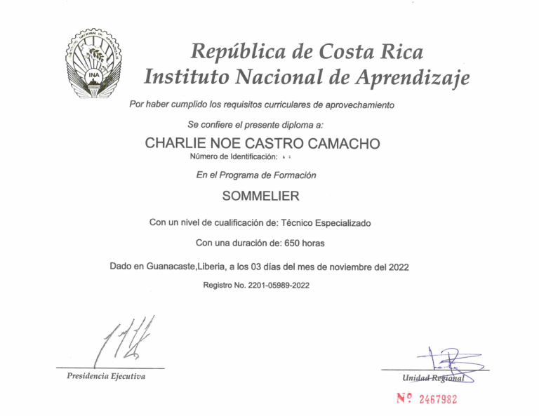 captura de pantalla 2025 07 24 144336